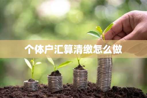 个体户汇算清缴怎么做