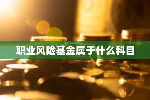 职业风险基金属于什么科目