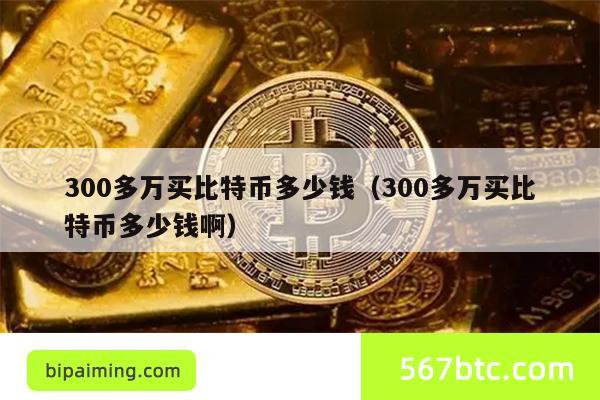 300多万买比特币多少钱（300多万买比特币多少钱啊）