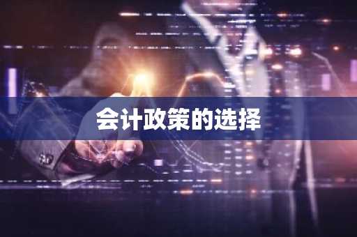 会计政策的选择