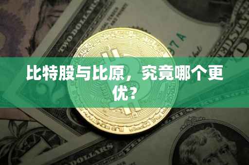 比特股与比原，究竟哪个更优？