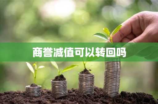 商誉减值可以转回吗