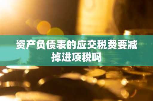 资产负债表的应交税费要减掉进项税吗
