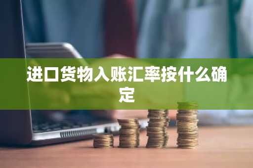 进口货物入账汇率按什么确定