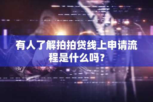 有人了解拍拍贷线上申请流程是什么吗？