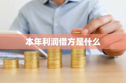 本年利润借方是什么
