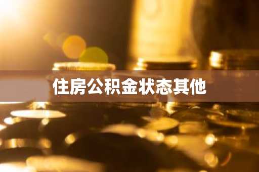 住房公积金状态其他