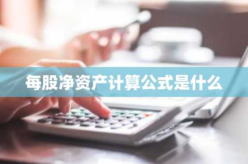 每股净资产计算公式是什么