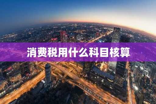 消费税用什么科目核算
