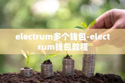electrum多个钱包-electrum钱包教程