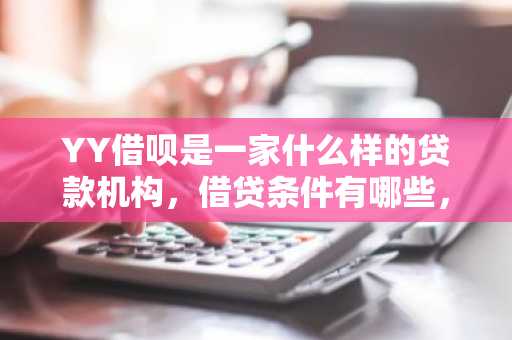 YY借呗是一家什么样的贷款机构，借贷条件有哪些，它的利息是多少？
