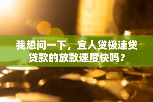 我想问一下，宜人贷极速贷贷款的放款速度快吗？