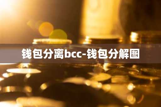 钱包分离bcc-钱包分解图
