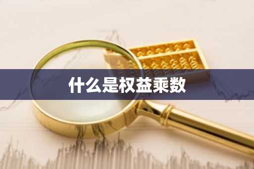 什么是权益乘数