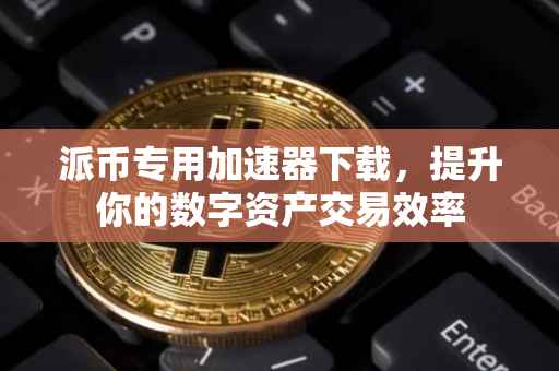 派币专用加速器下载，提升你的数字资产交易效率