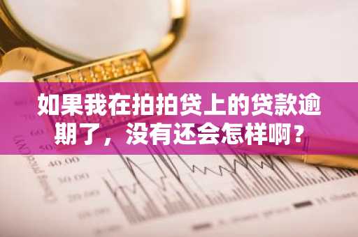 如果我在拍拍贷上的贷款逾期了，没有还会怎样啊？