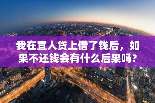 我在宜人贷上借了钱后，如果不还钱会有什么后果吗？