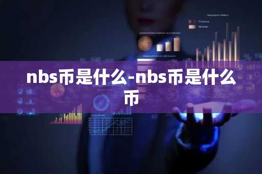 nbs币是什么-nbs币是什么币
