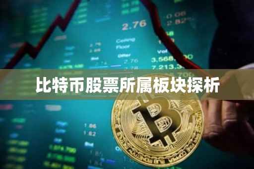 比特币股票所属板块探析