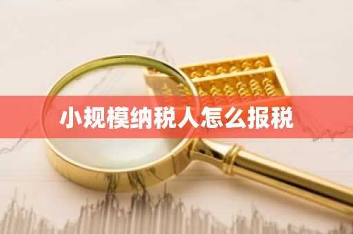 小规模纳税人怎么报税