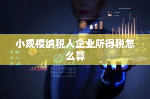 小规模纳税人企业所得税怎么算