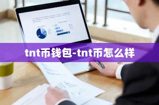 tnt币钱包-tnt币怎么样