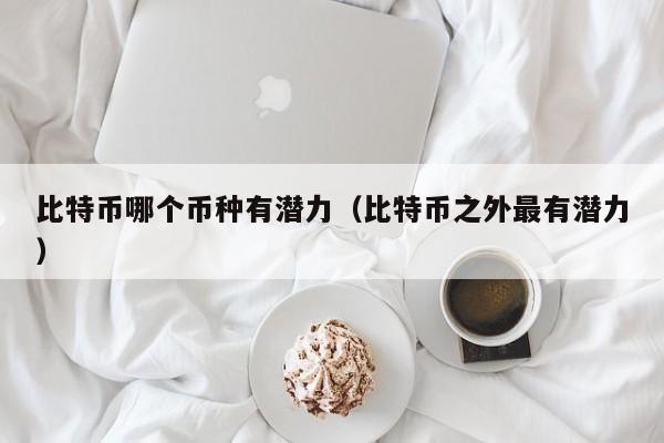 比特币哪个币种有潜力（比特币之外最有潜力）
