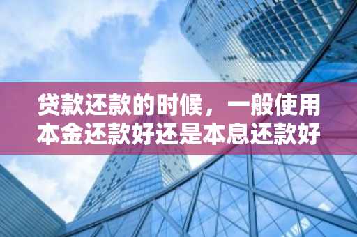 贷款还款的时候，一般使用本金还款好还是本息还款好啊？