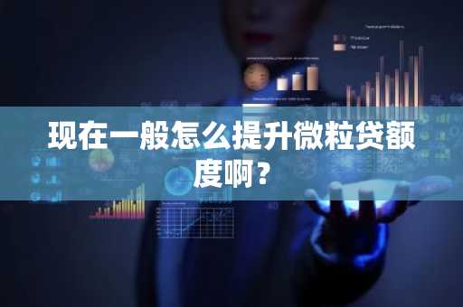 现在一般怎么提升微粒贷额度啊？