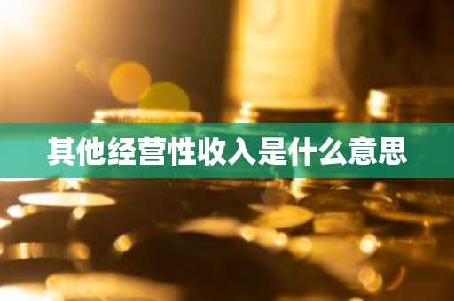 其他经营性收入是什么意思