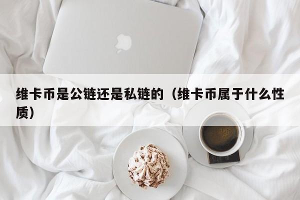 维卡币是公链还是私链的（维卡币属于什么性质）