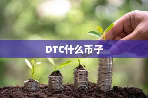 DTC什么币子
