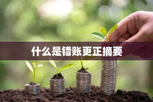 什么是错账更正摘要