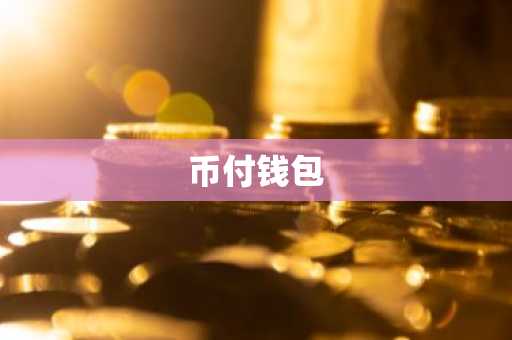 币付钱包