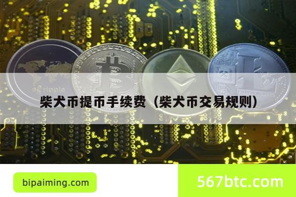 柴犬币提币手续费（柴犬币交易规则）