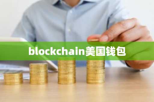 blockchain美国钱包