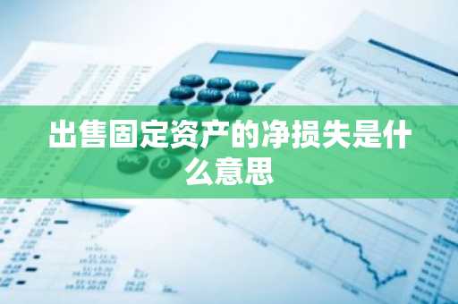 出售固定资产的净损失是什么意思