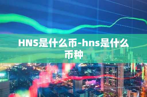 HNS是什么币-hns是什么币种
