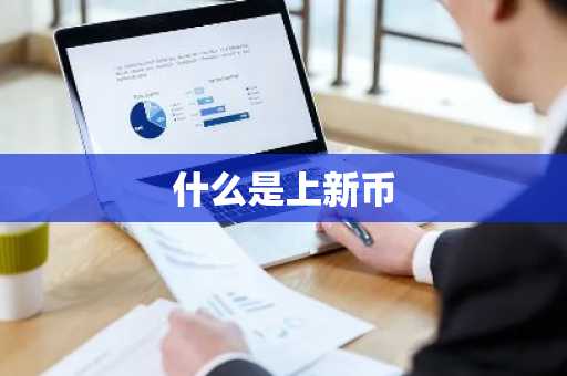 什么是上新币