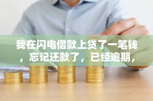 我在闪电借款上贷了一笔钱，忘记还款了，已经逾期，利息是多少？高吗？