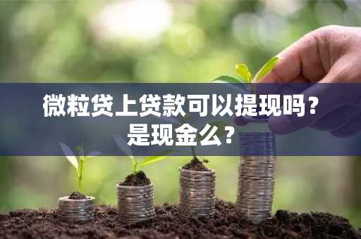 微粒贷上贷款可以提现吗？是现金么？