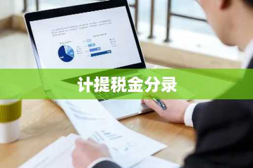 计提税金分录