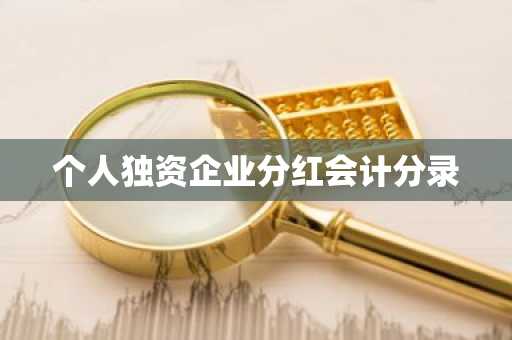 个人独资企业分红会计分录