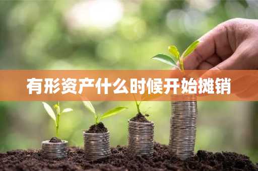 有形资产什么时候开始摊销