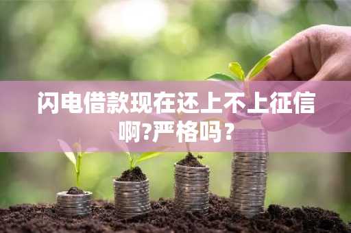 闪电借款现在还上不上征信啊?严格吗？