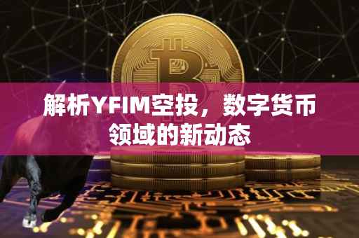 解析YFIM空投，数字货币领域的新动态