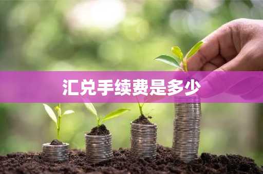 汇兑手续费是多少