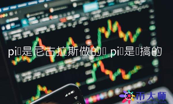 pi币是尼古拉斯做的吗