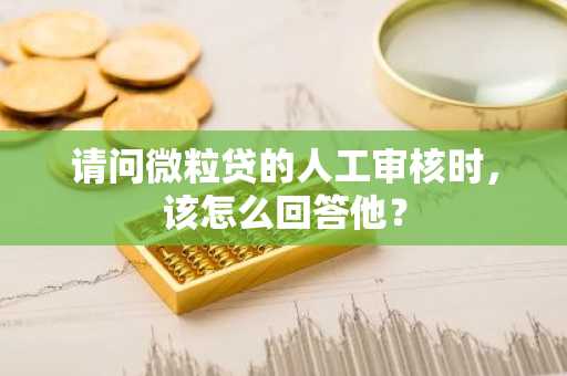 请问微粒贷的人工审核时，该怎么回答他？