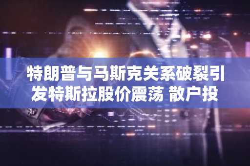 特朗普与马斯克关系破裂引发特斯拉股价震荡 散户投资者趁机抄底